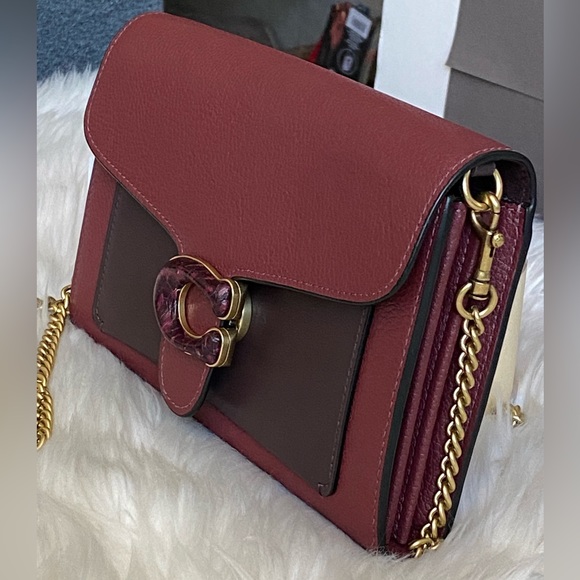 C4203 - Coach Tabby Chain Clutch in Colorblock with Snakeskin Detail - Picture 7 of 13